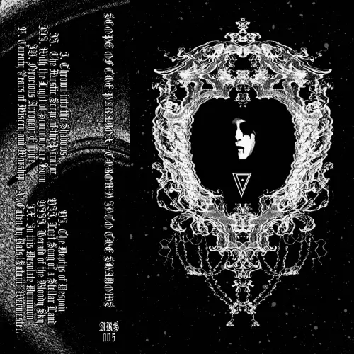 Scope Of The Paradox : Thrown into the Shadows